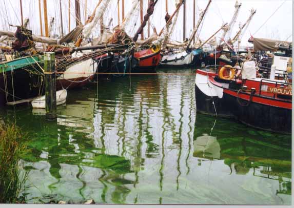 schepen in haven