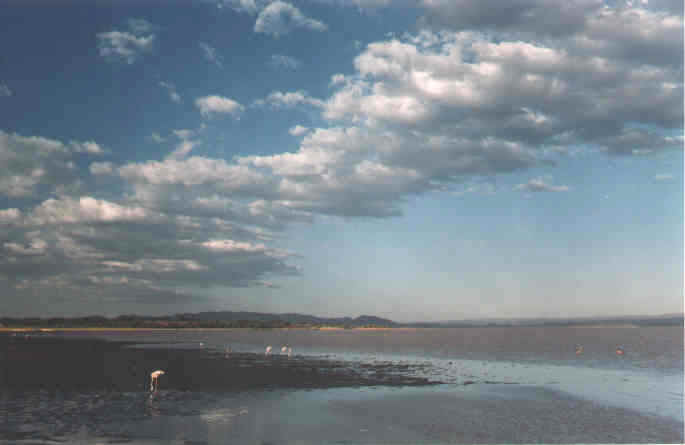 Kenia Lake Baringo 