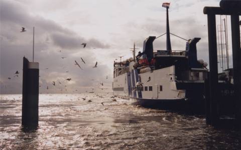De veerboot naar Harlingen